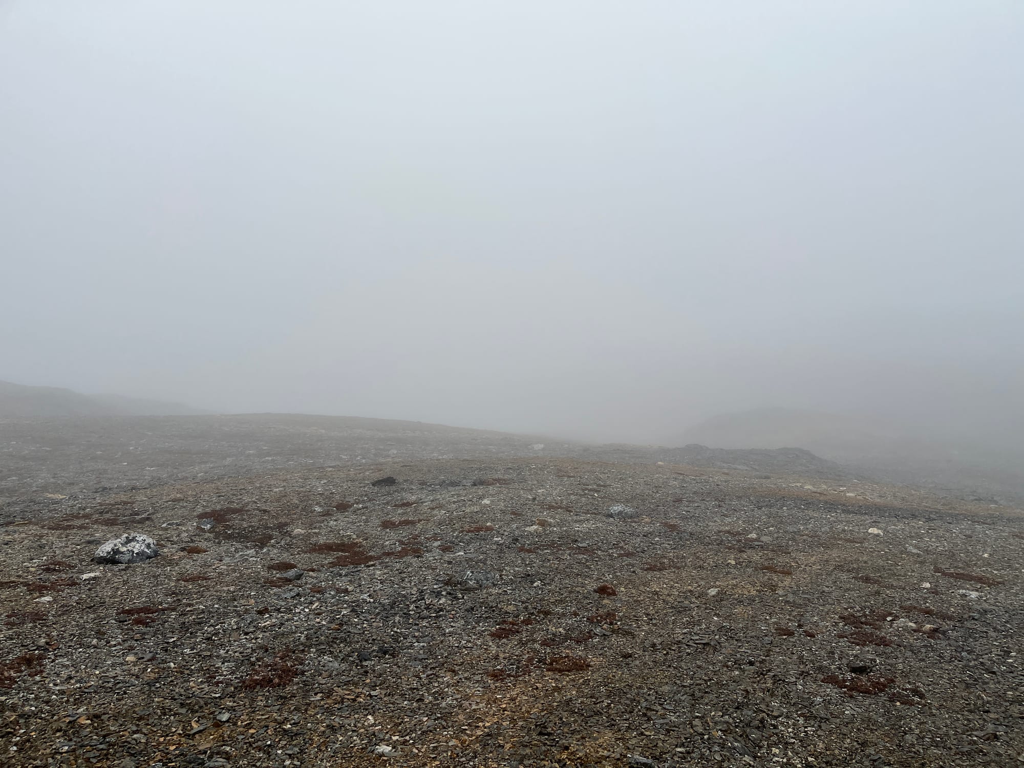 Zu Fuß durch die arktische Sommerlandschaft