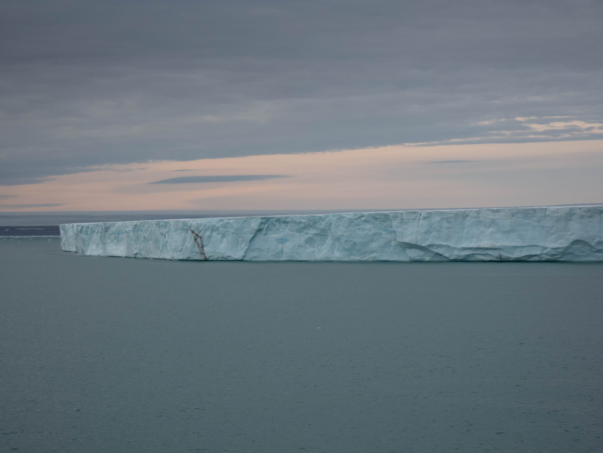Schelfeis und der erste Eisbär