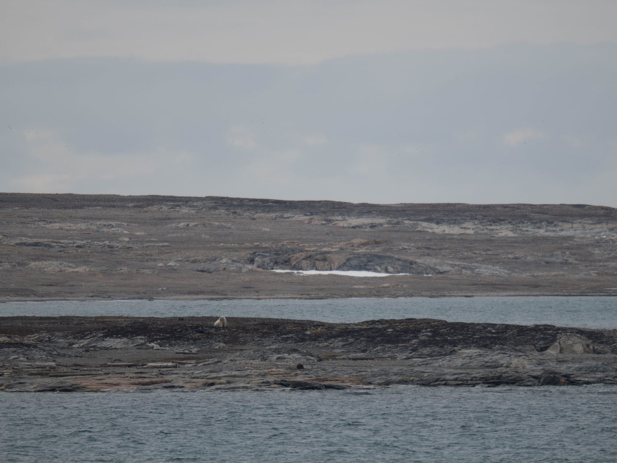Land in Sicht