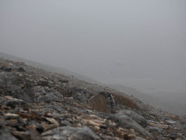 Zu Fuß durch die arktische Sommerlandschaft