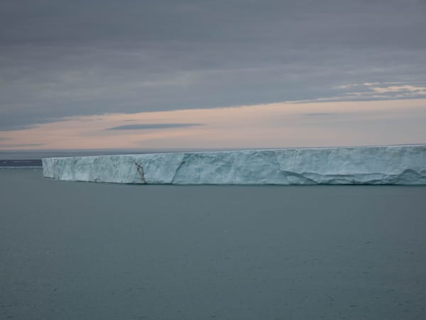 Schelfeis und der erste Eisbär