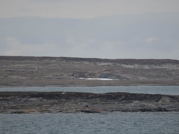 Land in Sicht
