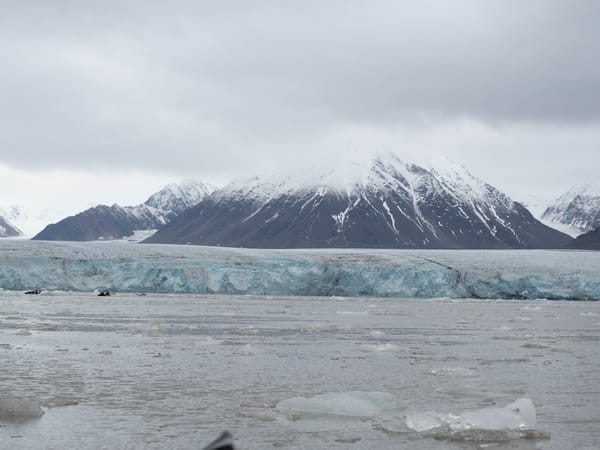 Gletscher, Rentiere und Robben
